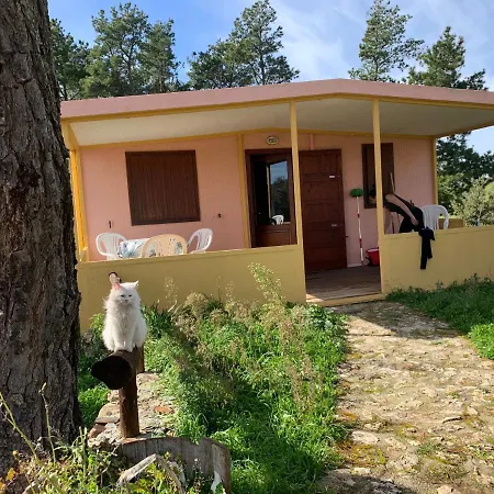 Helga's Camping Turismo Rurale Campeggio
